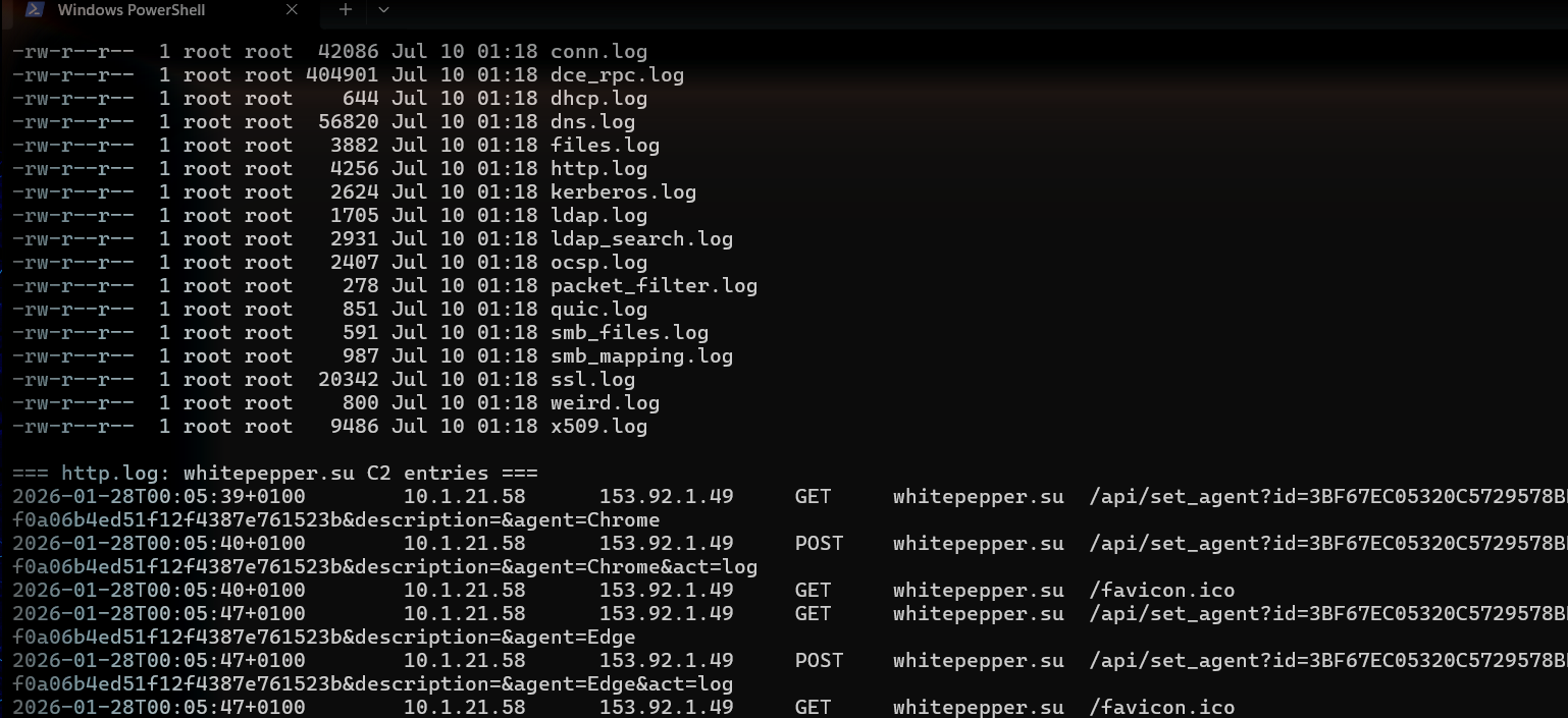 tcpdump and Zeek terminal run