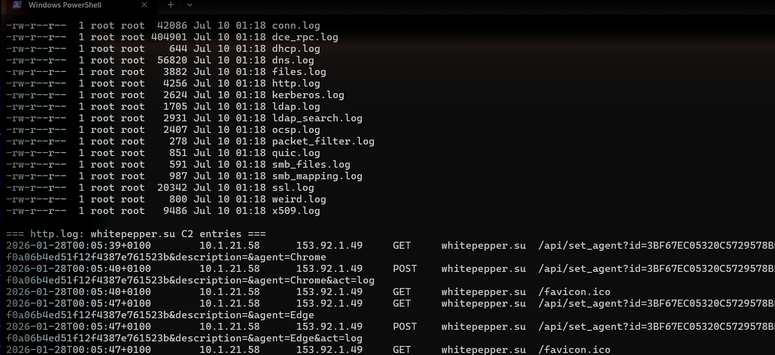 Exécution de tcpdump et Zeek dans le terminal