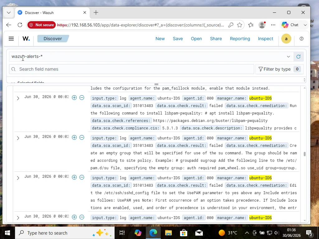 Vue brute de l'indexer dans Wazuh Discover